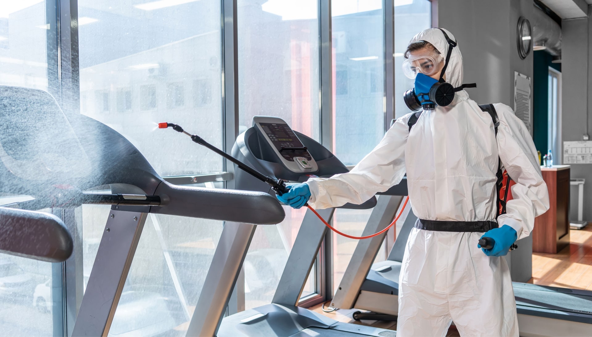 Commercial Mold Removal Services in Coconut Creek
