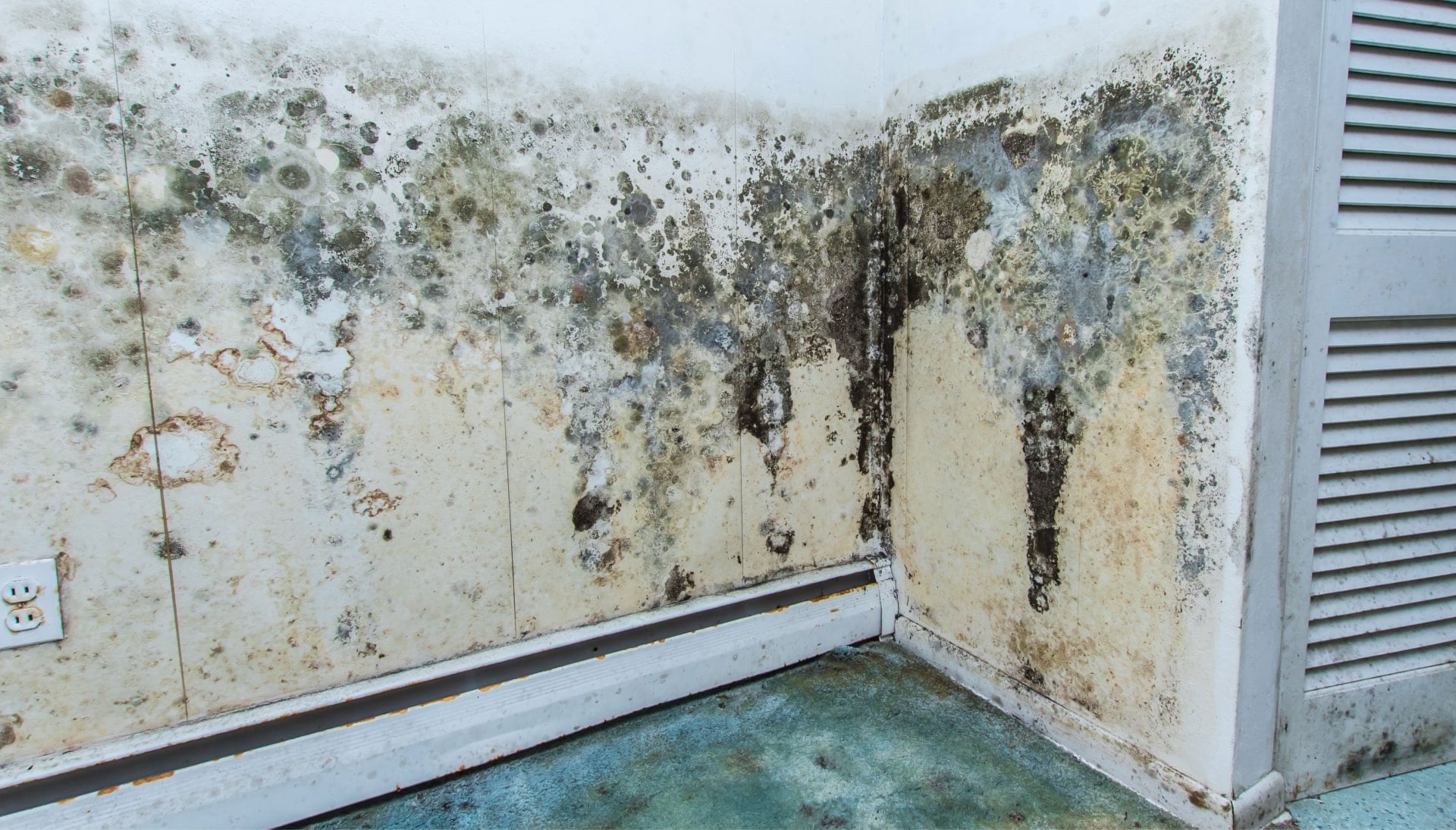 Mold Damage Odor Control Services in Coconut Creek