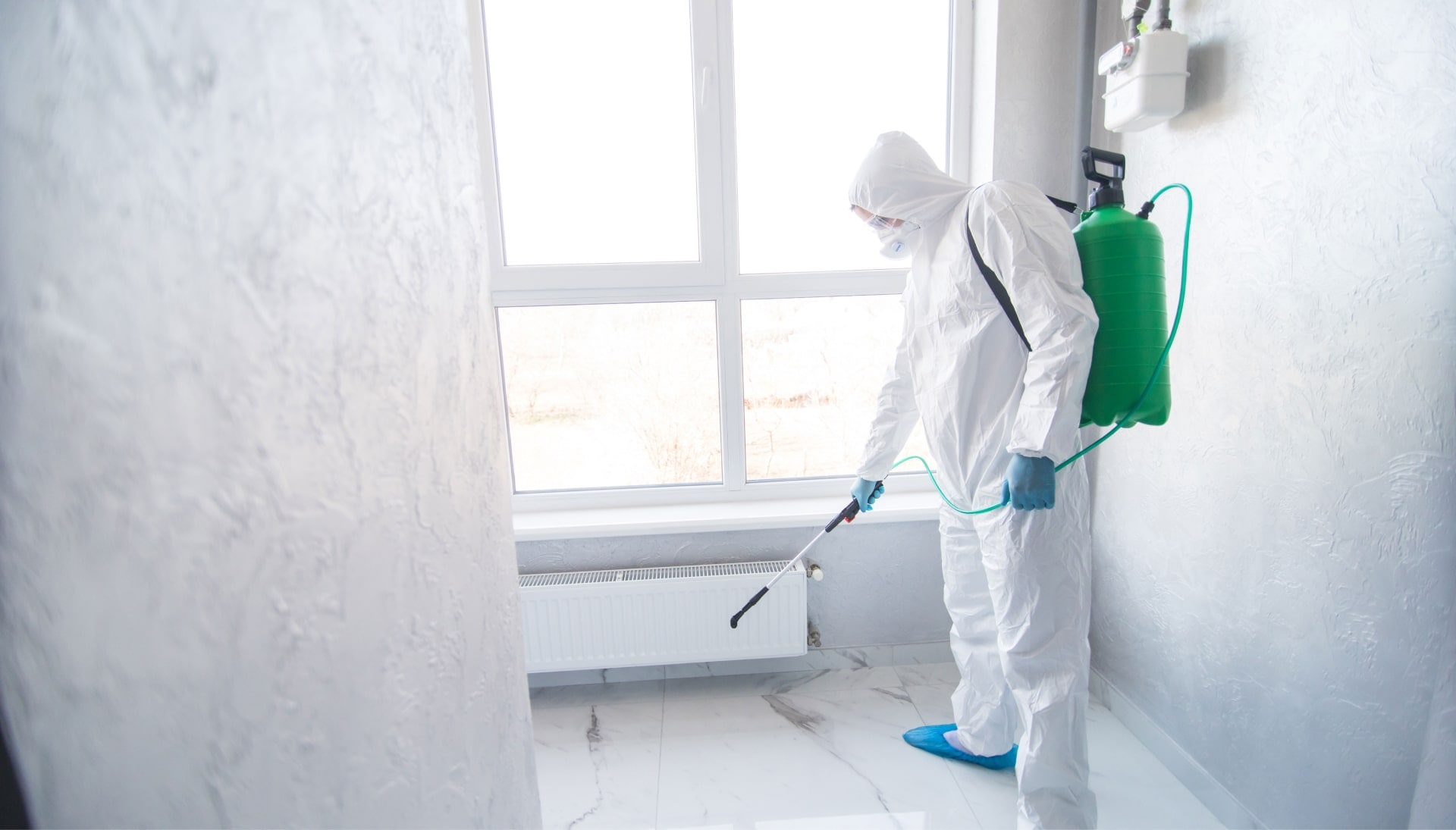 Mold Inspection Services in Coconut Creek
